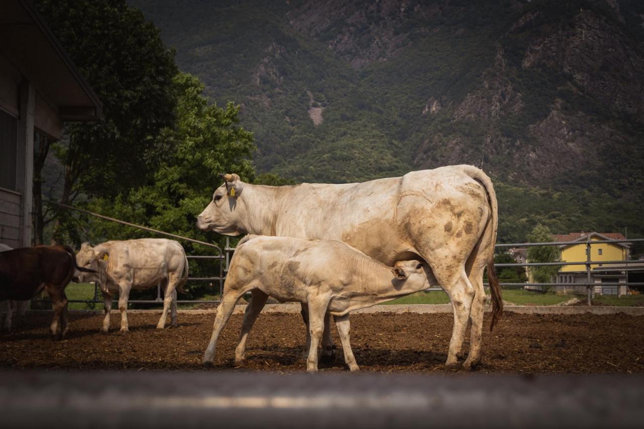 Agriturismo La Campagnola Gordona エクステリア 写真